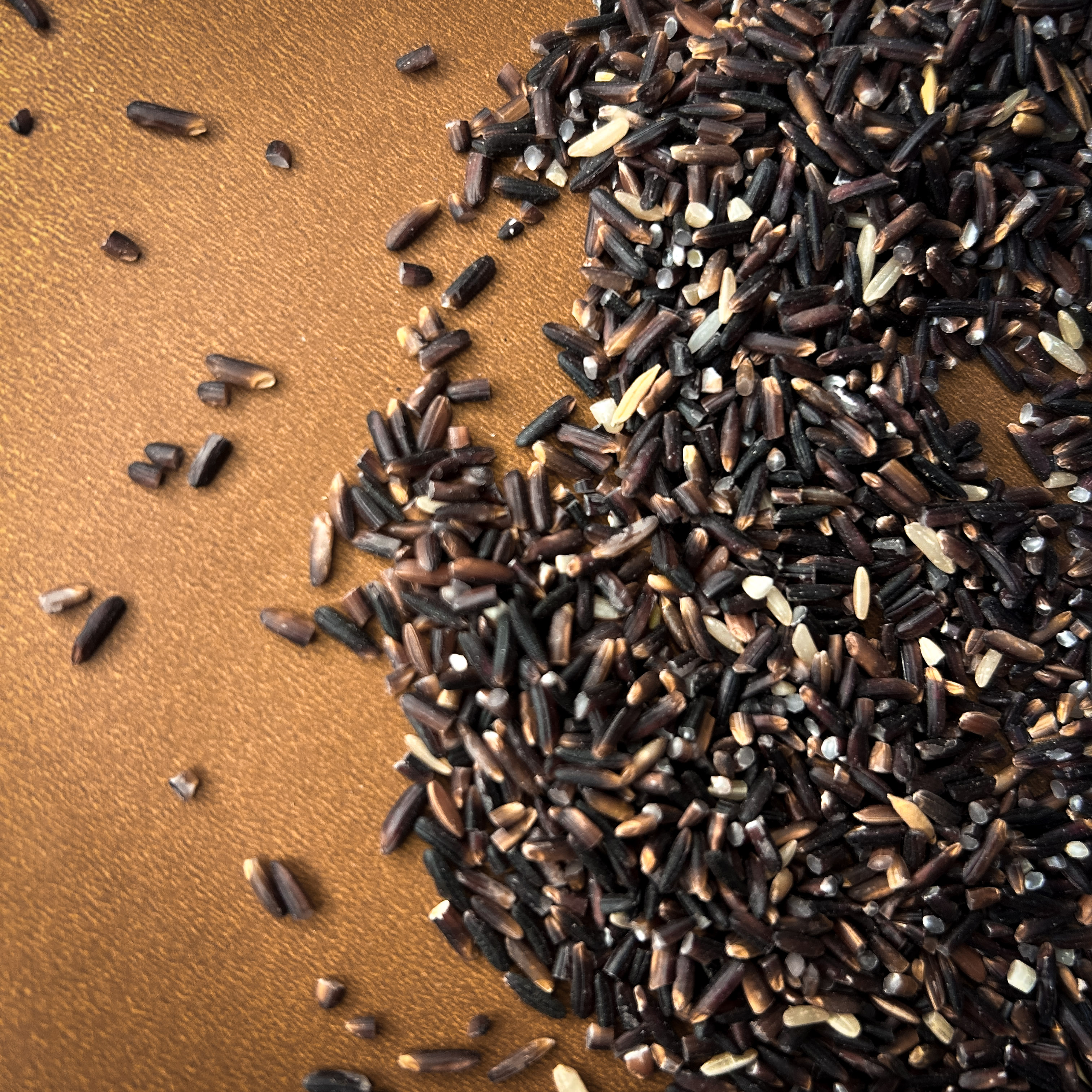 Krishna vrihi - Image 3